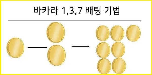 바카라-137-배팅-바카라사이트넷